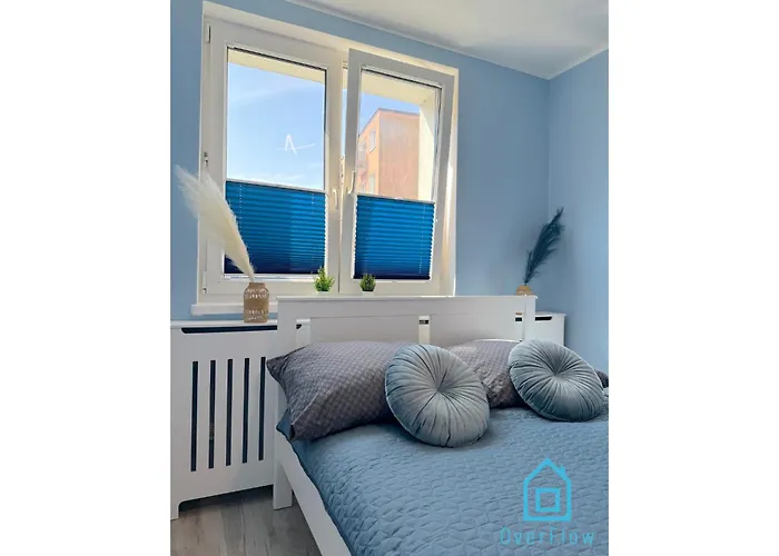 Seashell * 그단스크